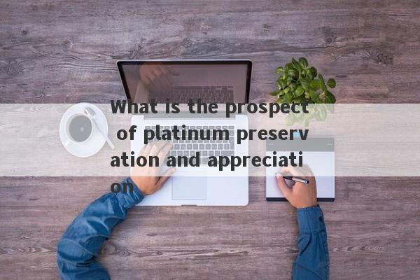 What is the prospect of platinum preservation and appreciation