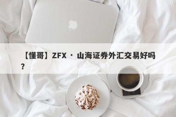 【懂哥】ZFX · 山海证券外汇交易好吗？
