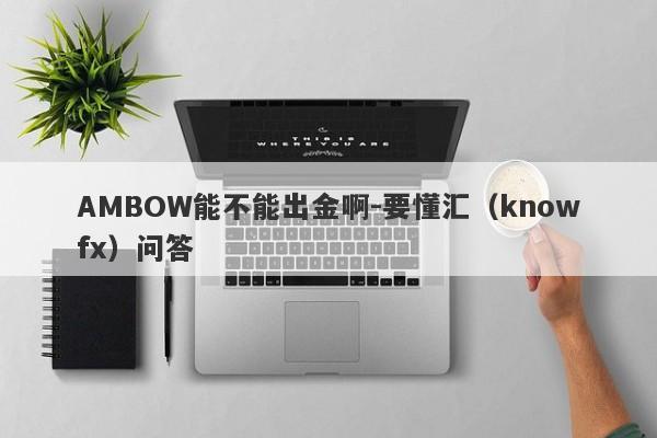 AMBOW能不能出金啊-要懂汇（knowfx）问答