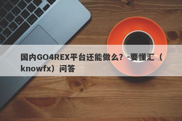 国内GO4REX平台还能做么？-要懂汇（knowfx）问答