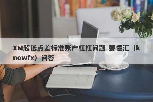 XM超低点差标准账户杠杠问题-要懂汇（knowfx）问答