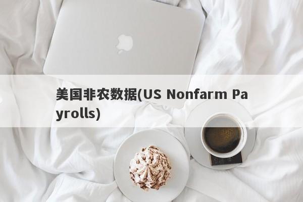 美国非农数据(US Nonfarm Payrolls)