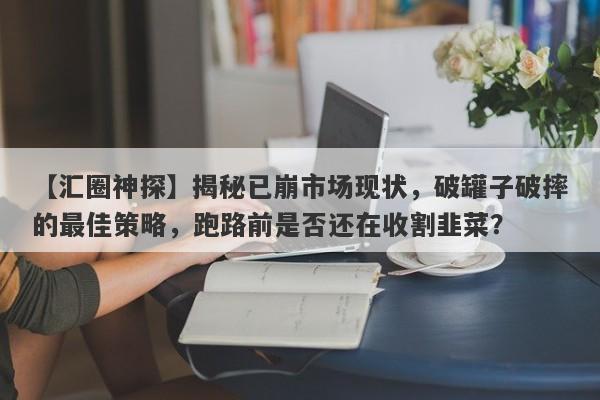 【汇圈神探】揭秘已崩市场现状，破罐子破摔的最佳策略，跑路前是否还在收割韭菜？