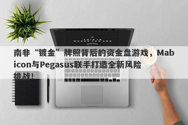 南非“镀金”牌照背后的资金盘游戏，Mabicon与Pegasus联手打造全新风险挑战！