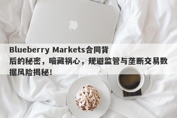 Blueberry Markets合同背后的秘密，暗藏祸心，规避监管与垄断交易数据风险揭秘！