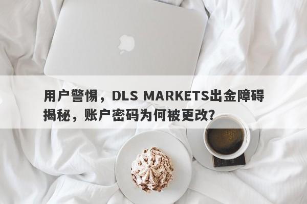 用户警惕，DLS MARKETS出金障碍揭秘，账户密码为何被更改？