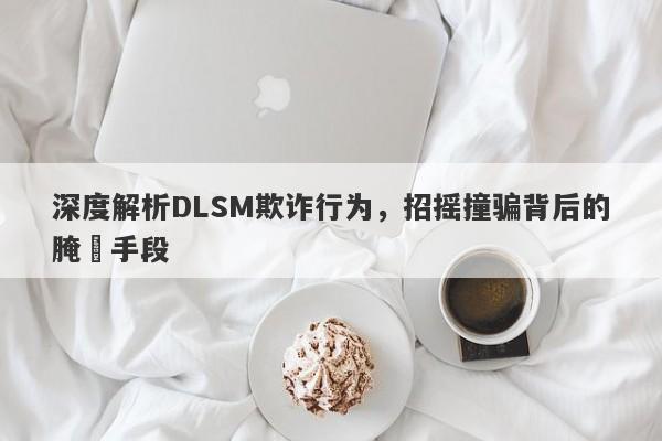 深度解析DLSM欺诈行为，招摇撞骗背后的腌臜手段