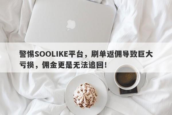 警惕SOOLIKE平台，刷单返佣导致巨大亏损，佣金更是无法追回！