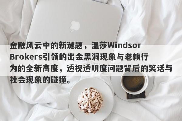 金融风云中的新谜题，温莎Windsor Brokers引领的出金黑洞现象与老赖行为的全新高度，透视透明度问题背后的笑话与社会现象的碰撞。