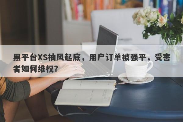 黑平台XS抽风起底，用户订单被强平，受害者如何维权？