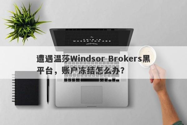 遭遇温莎Windsor Brokers黑平台，账户冻结怎么办？