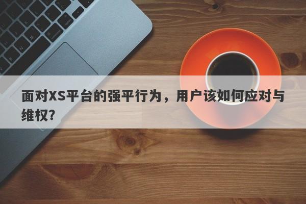 面对XS平台的强平行为，用户该如何应对与维权？