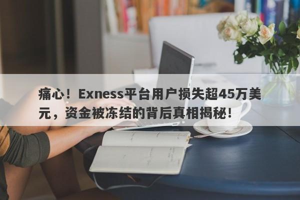 痛心！Exness平台用户损失超45万美元，资金被冻结的背后真相揭秘！