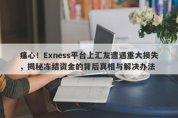 痛心！Exness平台上汇友遭遇重大损失，揭秘冻结资金的背后真相与解决办法