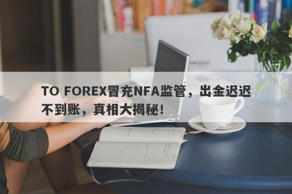 TO FOREX冒充NFA监管，出金迟迟不到账，真相大揭秘！