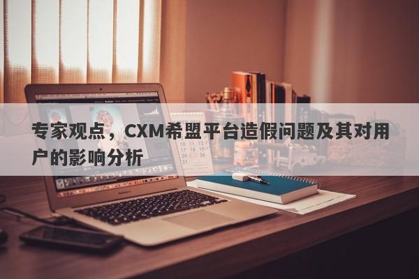 专家观点，CXM希盟平台造假问题及其对用户的影响分析