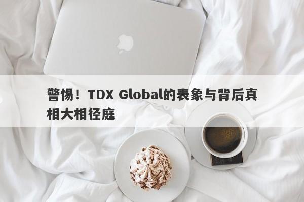 警惕！TDX Global的表象与背后真相大相径庭