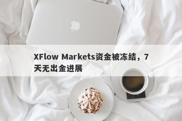 XFlow Markets资金被冻结，7天无出金进展