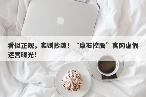 看似正规，实则抄袭！“摩石控股”官网虚假运营曝光！