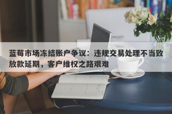 蓝莓市场冻结账户争议：违规交易处理不当致放款延期，客户维权之路艰难