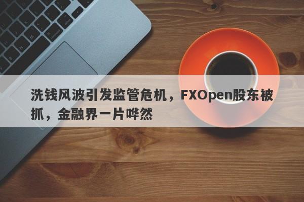 洗钱风波引发监管危机，FXOpen股东被抓，金融界一片哗然