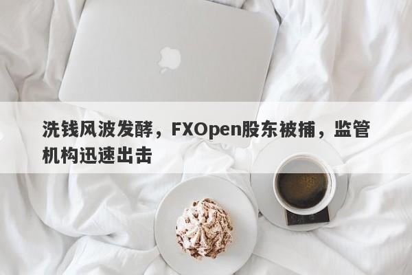 洗钱风波发酵，FXOpen股东被捕，监管机构迅速出击