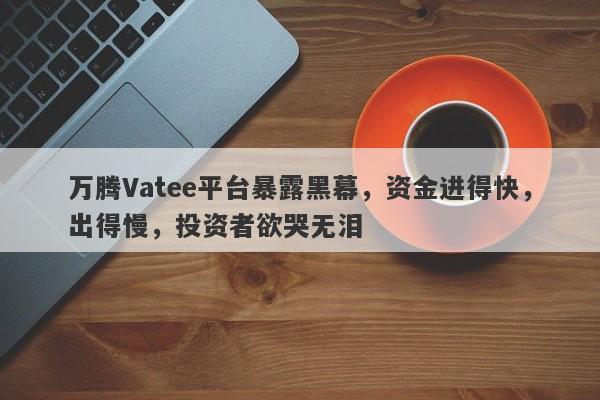 万腾Vatee平台暴露黑幕，资金进得快，出得慢，投资者欲哭无泪