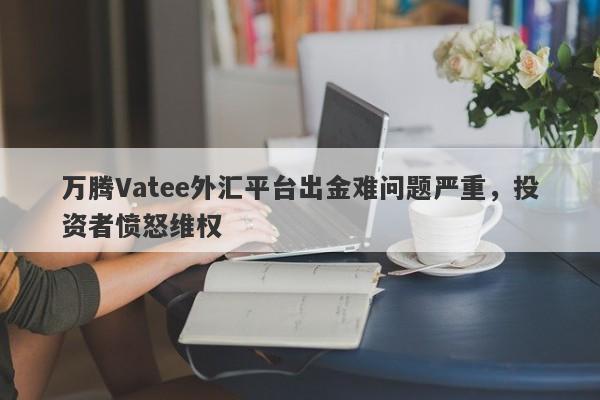 万腾Vatee外汇平台出金难问题严重，投资者愤怒维权