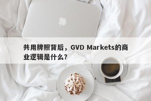 共用牌照背后，GVD Markets的商业逻辑是什么？