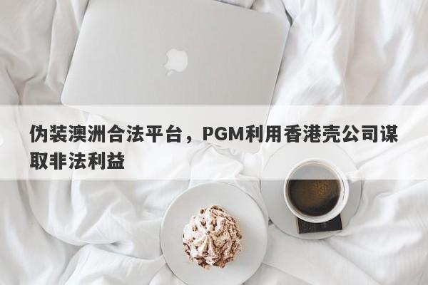 伪装澳洲合法平台，PGM利用香港壳公司谋取非法利益