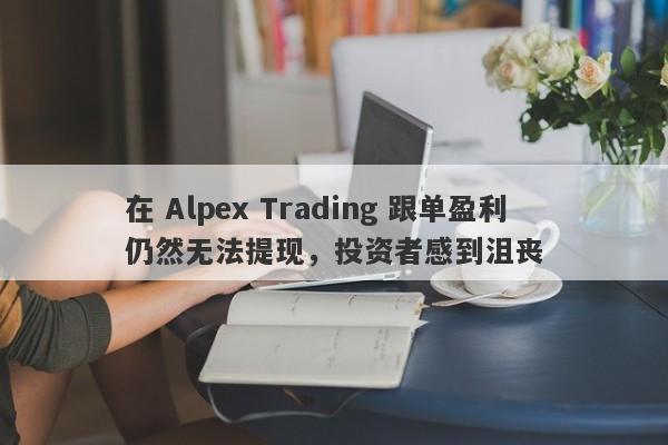 在 Alpex Trading 跟单盈利仍然无法提现，投资者感到沮丧