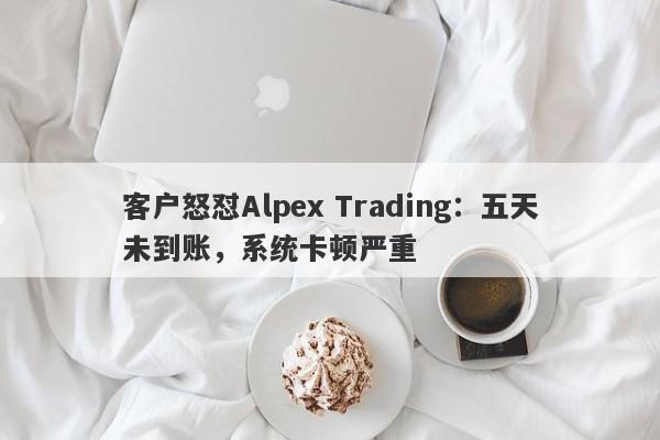 客户怒怼Alpex Trading：五天未到账，系统卡顿严重