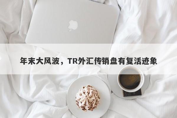 年末大风波，TR外汇传销盘有复活迹象