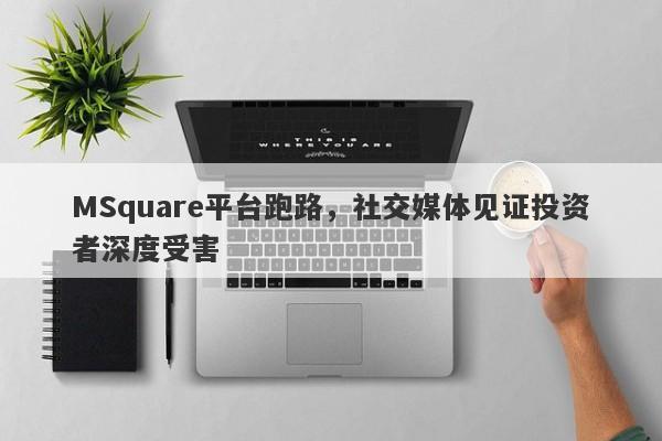 MSquare平台跑路，社交媒体见证投资者深度受害