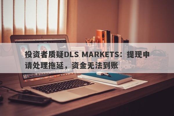 投资者质疑DLS MARKETS：提现申请处理拖延，资金无法到账