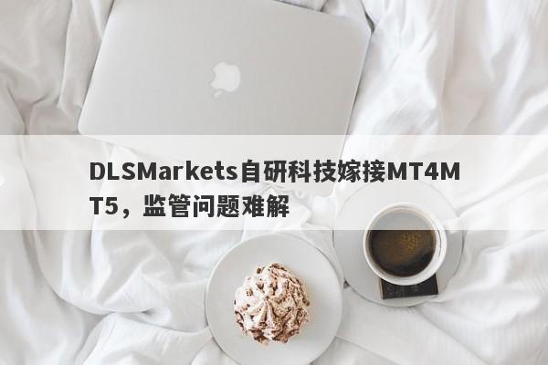 DLSMarkets自研科技嫁接MT4MT5，监管问题难解