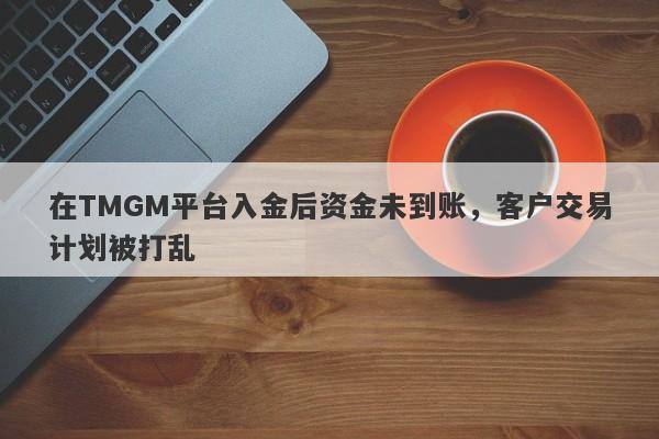 在TMGM平台入金后资金未到账，客户交易计划被打乱