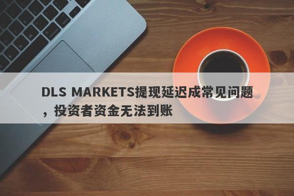 DLS MARKETS提现延迟成常见问题，投资者资金无法到账