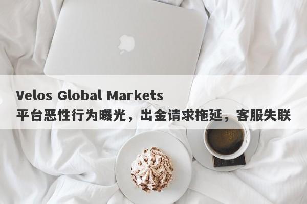 Velos Global Markets平台恶性行为曝光，出金请求拖延，客服失联