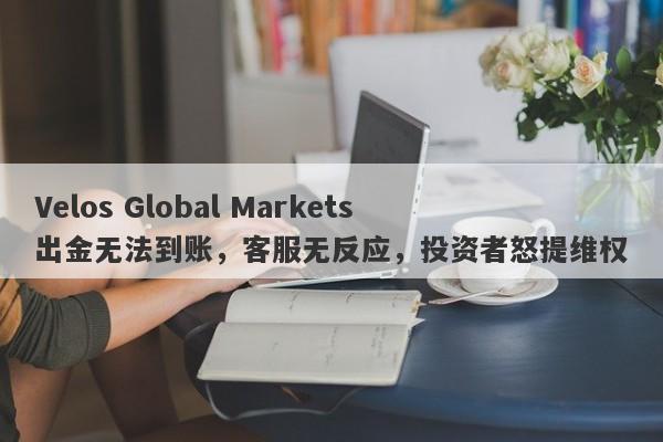 Velos Global Markets出金无法到账，客服无反应，投资者怒提维权