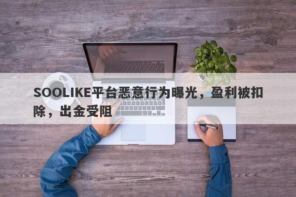 SOOLIKE平台恶意行为曝光，盈利被扣除，出金受阻