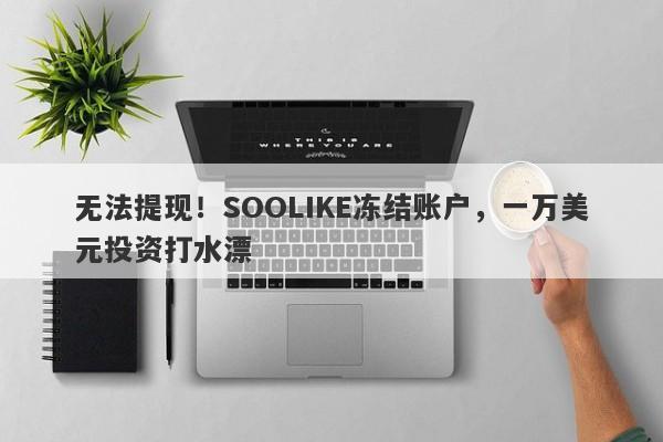 无法提现！SOOLIKE冻结账户，一万美元投资打水漂